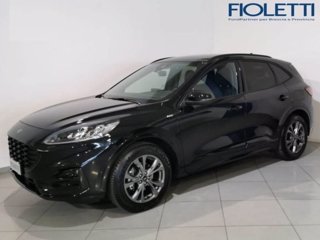 FORD Kuga 1.5 EcoBlue 120 CV aut. 2WD ST-Line X