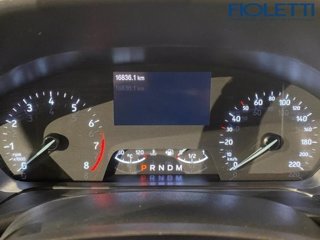 FORD Puma 1.0 EcoBoost Hybrid 125 CV S&S aut. ST-Line