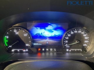 FORD Kuga 2.5 Plug In Hybrid 225 CV CVT 2WD Titanium Business