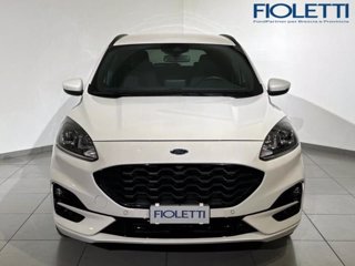 FORD Kuga 1.5 EcoBoost 150 CV 2WD ST-Line