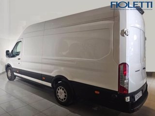 FORD Transit 350 2.0TDCi EcoBlue 170CV PL-SL-TA Furg. Jumbo Trend