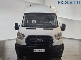 FORD Transit 350 2.0TDCi EcoBlue 170CV PL-SL-TA Furg. Jumbo Trend