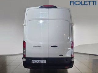FORD Transit 350 2.0TDCi EcoBlue 170CV PL-SL-TA Furg. Jumbo Trend