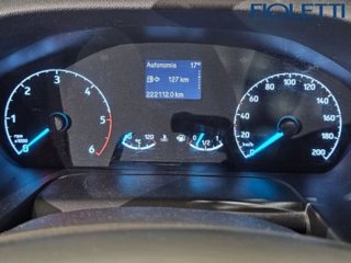 FORD Transit 350 2.0TDCi EcoBlue 170CV PL-SL-TA Furg. Jumbo Trend
