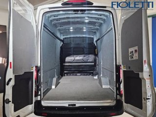 FORD Transit 350 2.0TDCi EcoBlue 170CV PL-SL-TA Furg. Jumbo Trend