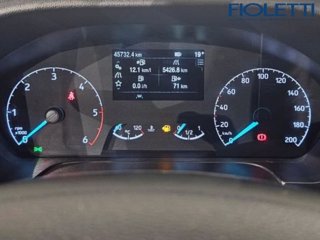 FORD Tourneo Custom 320 2.0 EcoBlue 130CV MHEV PC Titanium