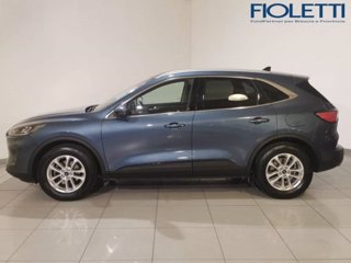 FORD Kuga 2.0 EcoBlue 190 CV aut. AWD Titanium Business