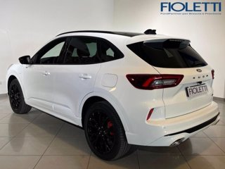 FORD Kuga 2.5 Plug In Hybrid 243 CV CVT 2WD ST-Line X