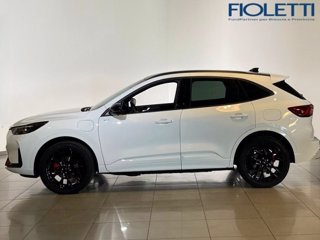 FORD Kuga 2.5 Plug In Hybrid 243 CV CVT 2WD ST-Line X