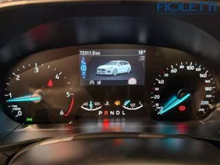 FORD Focus 1.5 EcoBlue 115 CV automatico SW ST-Line