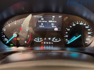 FORD Focus 1.0 EcoBoost Hybrid 125 CV Powershift SW Active