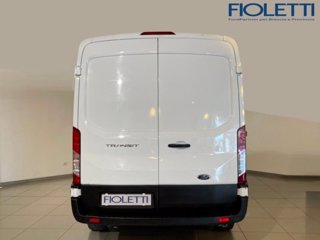 FORD Transit 350 2.0TDCi EcoBlue MHEV 130CV PM-TM Furgone Trend