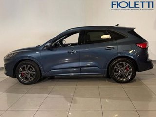 FORD Kuga 1.5 EcoBlue 120 CV aut. 2WD ST-Line