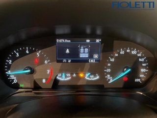 FORD Fiesta 1.0 Ecoboost Hybrid 125 CV 5 porte Titanium