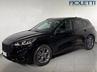 FORD Kuga 1.5 EcoBlue 120 CV 2WD ST-Line