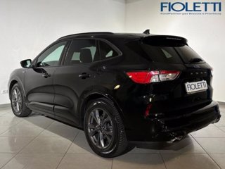 FORD Kuga 1.5 EcoBlue 120 CV 2WD ST-Line