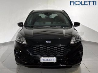 FORD Kuga 1.5 EcoBlue 120 CV 2WD ST-Line