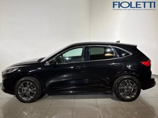 FORD Kuga 1.5 EcoBlue 120 CV 2WD ST-Line