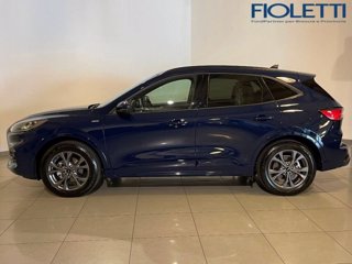FORD Kuga 2.5 Plug In Hybrid 225 CV CVT 2WD ST-Line