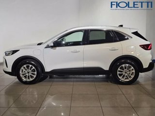 FORD Kuga 2.5 Plug In Hybrid 243 CV CVT 2WD Titanium