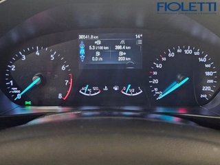 FORD Focus 1.0 EcoBoost Hybrid 125 CV 5p. ST-Line