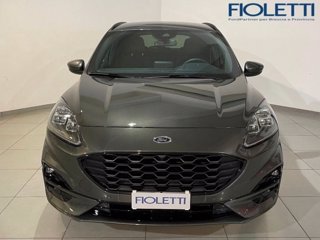 FORD Kuga 1.5 EcoBlue 120 CV 2WD ST-Line