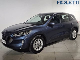 FORD Kuga 1.5 EcoBlue 120 CV aut. 2WD Titanium Business