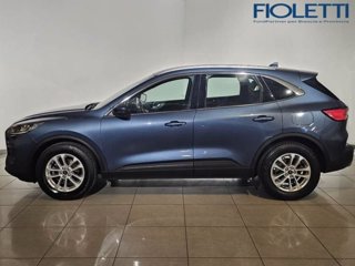 FORD Kuga 1.5 EcoBlue 120 CV aut. 2WD Titanium Business
