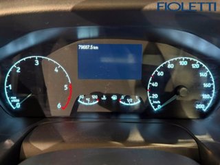 FORD Transit 350 2.0TDCi EcoBlue 130CV PL Cab.Trend