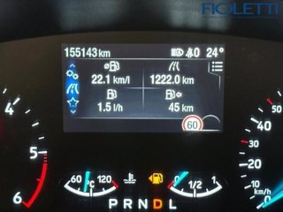 FORD Focus 1.5 EcoBlue 120 CV automatico SW Business Co-Pilot