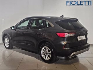 FORD Kuga 1.5 EcoBlue 120 CV aut. 2WD Titanium Business