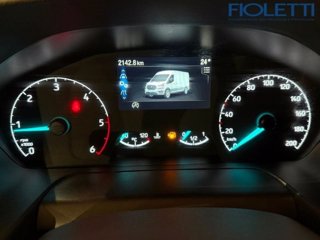 FORD Transit 310 2.0TDCi EcoBlue 130CV PM-TM Furgone Trend