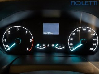 FORD Transit 290 2.0TDCi EcoBlue 130CV PM-TM Furgone Trend
