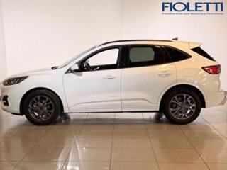 FORD Kuga 2.5 Full Hybrid 190 CV CVT 2WD ST-Line
