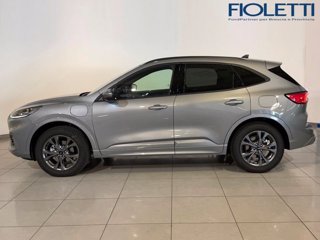 FORD Kuga 2.5 Plug In Hybrid 225 CV CVT 2WD ST-Line