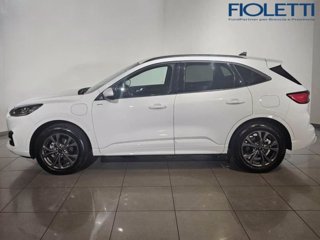 FORD Kuga 2.5 Plug In Hybrid 225 CV CVT 2WD ST-Line X