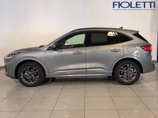 FORD Kuga 2.5 Full Hybrid 190 CV CVT 2WD ST-Line